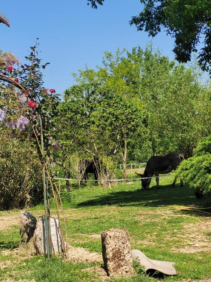 Готель Pey Sud Sistels Екстер'єр фото